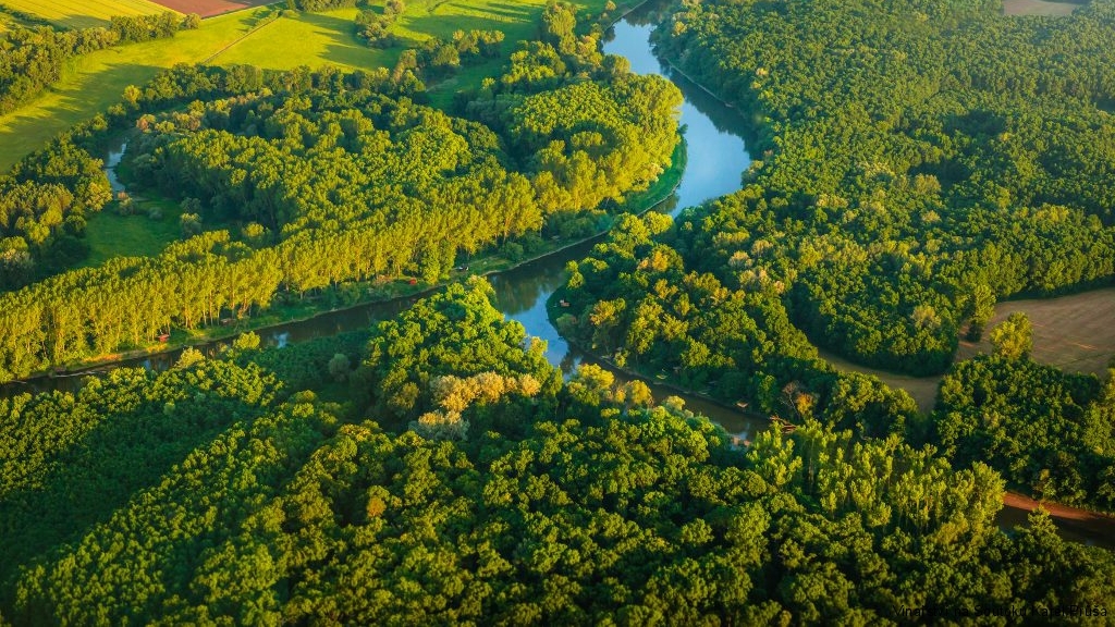 Biosférická rezervace Dolní Morava